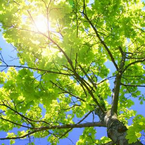 凪光封神之作在线观看国语版
