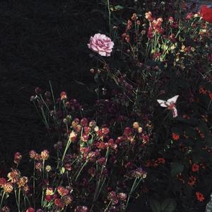 凪光封神之作在线观看国语版
